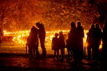 Fire Garden