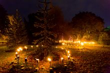 Fire Garden, by Culture Creative