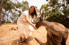 Tourism Australia_Kangaroo Island_2