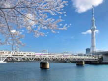Sumida River Walk