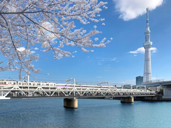 Sumida River Walk Sumida River Walk