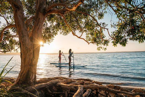 Habitat Noosa
