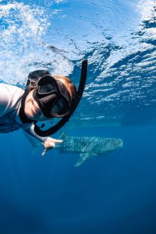 Brooke Pyke swimming with a whale shark