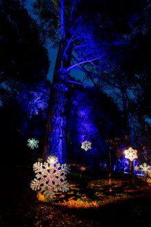 Snowflake Park by Cristina Ottonello