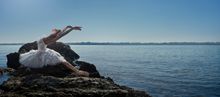 Swan Lake 