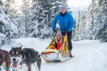 Dog mushing at Sky High Wilderness Ranch, Yukon