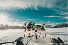Dog mushing at Sky High Wilderness Ranch, Yukon