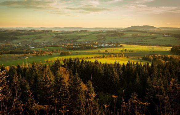 Ore Mountains views