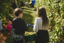 Two young volunteers join in the community harvest day at Sandridge Barton