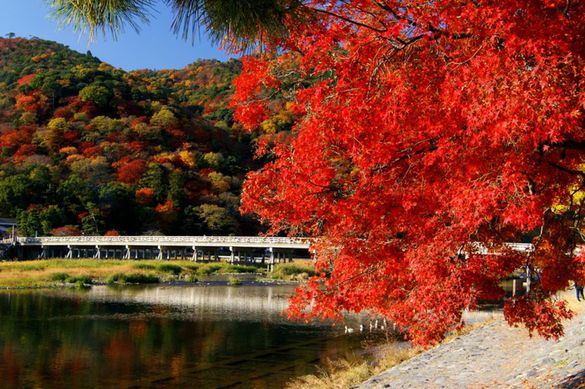 Arashiyama