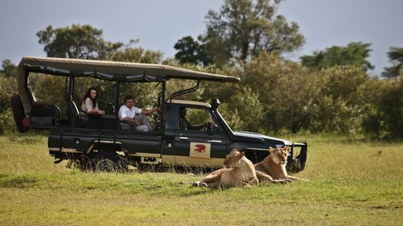 Game Drive in Maasai Mara
