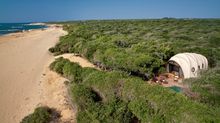 A cocoon tent at Wild Coast Tented Lodge