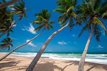 Beach near Haritha Villas + Spa