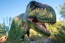 Adult T-Rex