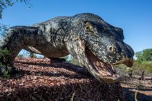 Megalania