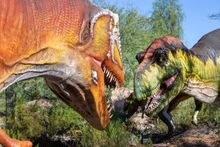 Giganotosaurus