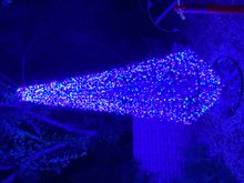 LightsUp! A Festival of Illumination at Tucson Botanical Garden