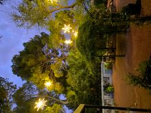 LightsUp! A Festival of Illumination at Tucson Botanical Garden