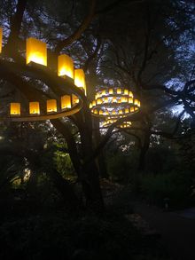 LightsUp! A Festival of Illumination at Tucson Botanical Garden