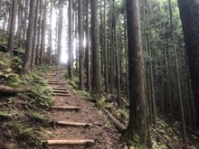 Kumano Kodo Trail, Japan