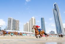 The Star Gold Coast Magic Millions Carnival - Barrier Draw