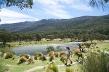 Couple enjoying a scenic bushwalk by Thredbo River near The Diggings Campground in Kosciuszko National Park.