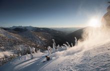 Fernie