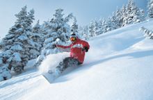 Whistler powcarve