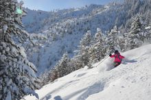 Panorama resort skier