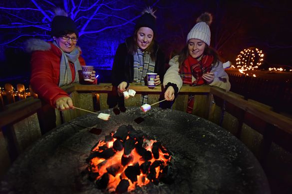 Toasting marshmallows 