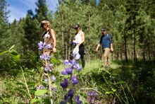 Guided hiking at Montana's Triple Creek Resort Ranch, Ranch Rider collection