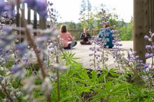 Group guided meditation class, Montana's Triple creek Resort Ranch, Ranch Rider collection