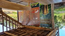 The Bush Camp, Chiang Mai, Thailand 