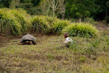 Family stay at Montemar Eco Luxury Villas, Galapagos 