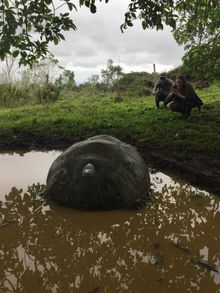 GPS tag tracking at Montemar Eco Luxury Villas, Galapagos 