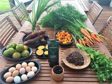 Organic garden for fresh produce at Montemar Eco Luxury Villas, Galapagos 