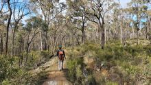 Highlights of the Goldfields Track