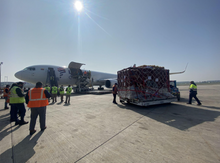 Pantheon the white rhino being transported