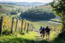 Hike through Piedmont's vineyards