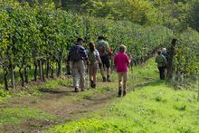 Hiking in Piedmont with Hedonistic Hiking
