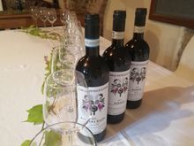 Wine tasting in Piedmont
