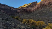 Havasupai Garden