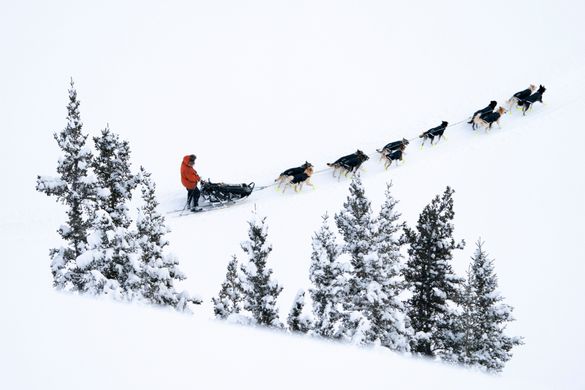 Yukon Quest