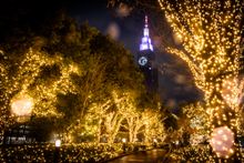 Illumination at Shinjuku Southern Terrace