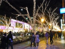 Omotesando Illumination