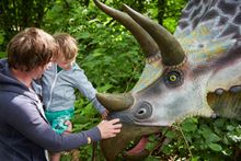 Get up close with dinosaurs in the Jurassic Journey