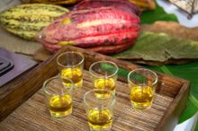 Rum and Chocolate Tasting