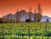 Franschhoek, South Africa 