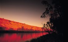 Murray River, South Australia