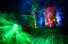 Laser Garden at Hatfield Park